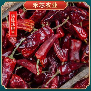 ��������������������u�˺�������؛�t�����������콷�a��ֱ��