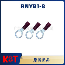 KSTd/RNYB1-8