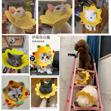 猫狗伊丽莎白太阳花项圈毛毡口水巾头套猫用品脖圈宠物防舔耻辱圈