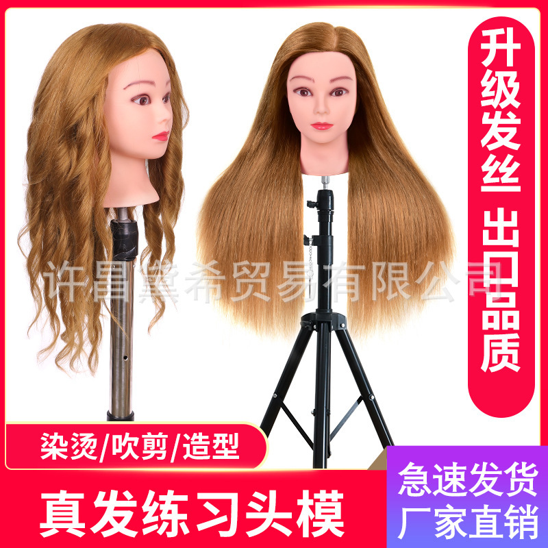 Wig Training Head, Imitation Human Hair Mannequin Head, Hairdressing Model Head, Dummy Head Model for Braiding, Updos, and Makeup Styling Wig Training Head, Imitation Human Hair Mannequin Head, Hairdressing Model Head, Dummy Head Model for Braiding, Updos, and Makeup Styling