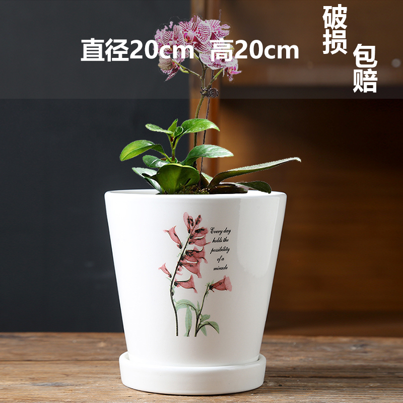 강화된 단일 초대형 호접란 화분-세라믹-대형