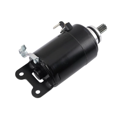 Starter Motor Model: Cbr250/Cb250 0295625 0296390 (Starter and accessories)