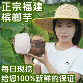 冷冻蔬菜;块茎类