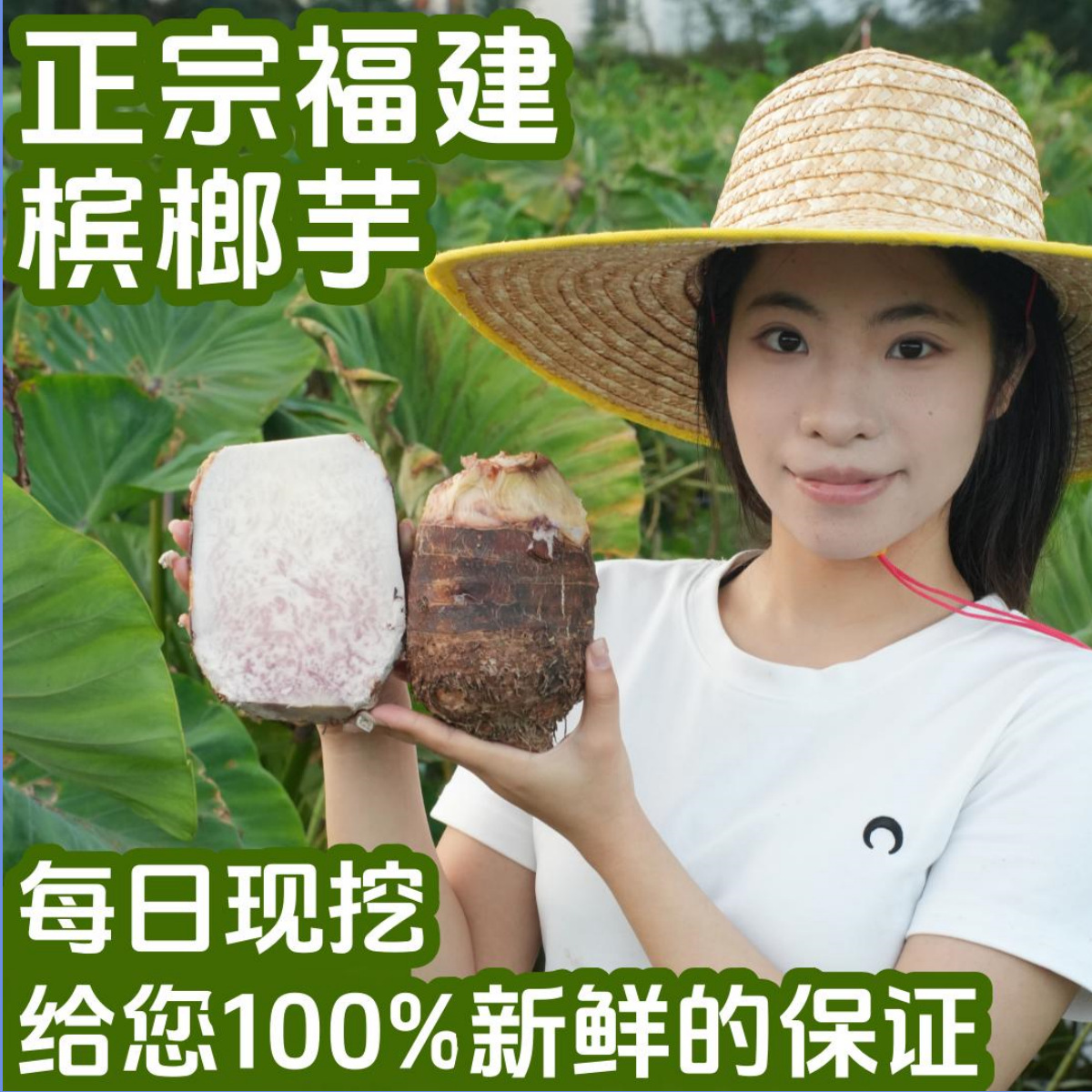 福建本地农家自种新鲜大芋头槟榔芋香芋大量批发产地直销量大从优