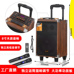 Travel wooden speakers, wireless microphone, suitcase, high power, bluetooth, 8 inch