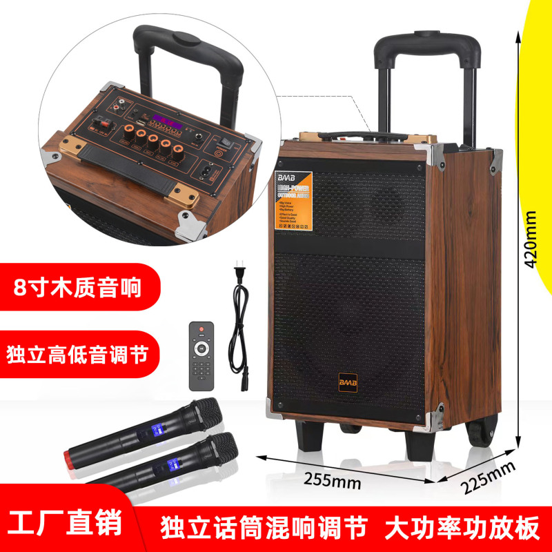 広場のダンスの音響の屋外のk歌のスピーカーの大出力の木製は無線のマイクのbluetoothのレバーの8インチの移動の音響を持ちます。|undefined