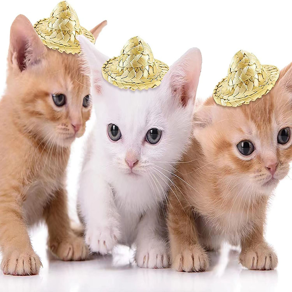 微信图片_20230403230758