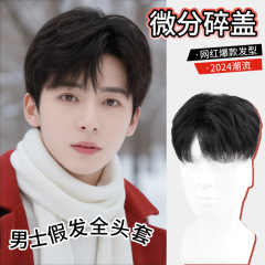 カツラの男性の微分の蓋の男性のカツラのセットは自然です。