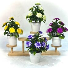 ����Gֲ���� ��軨����ٻ� ���ռҾӲ͏d�Ƶ��bGɫ�쾰����