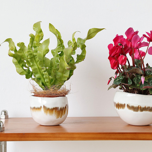 Creative irregular shape desktop landscape green plant pot flow glaze niche design ceramic mini flower pot