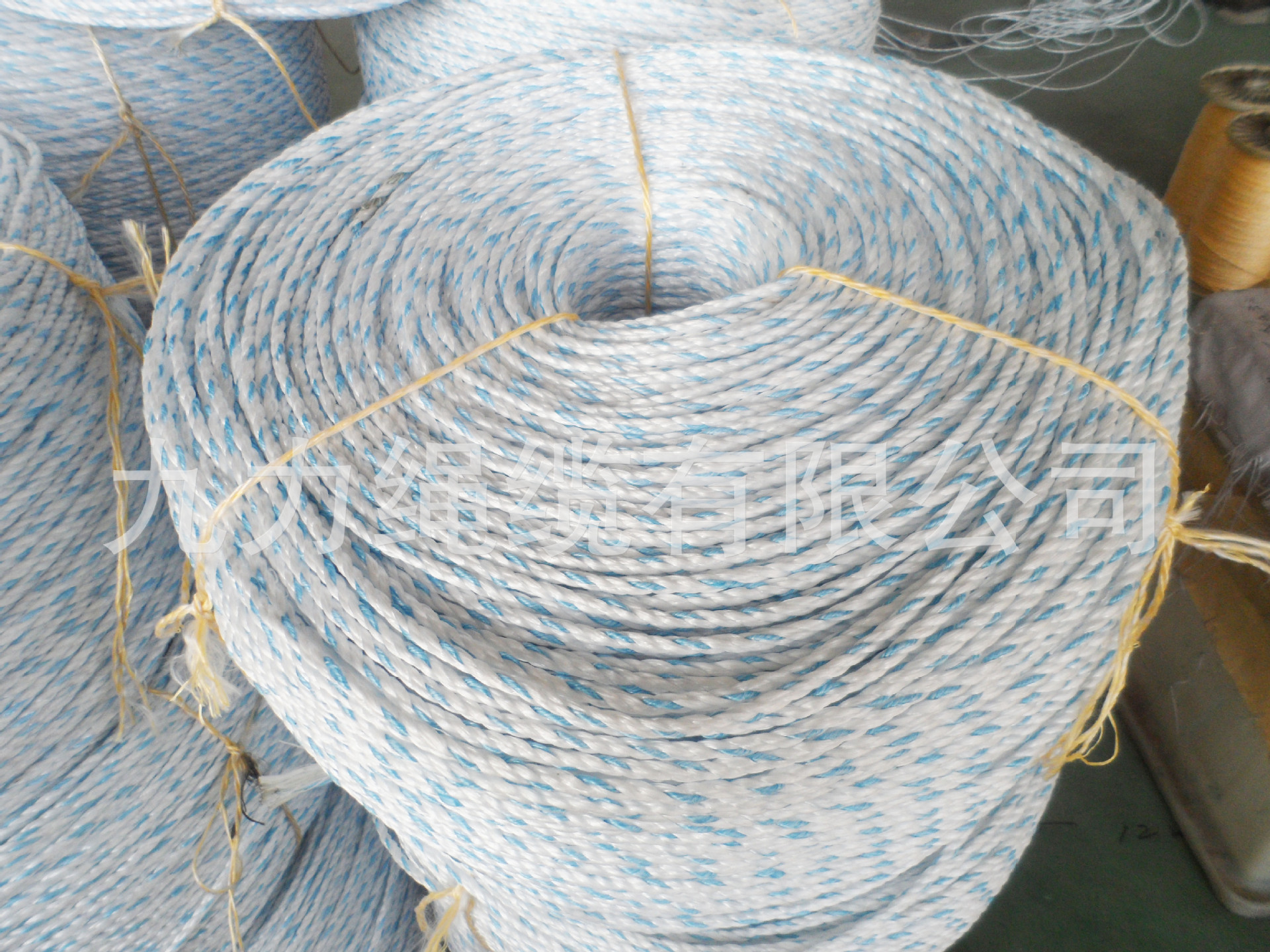 三股丙纶白色+蓝线8