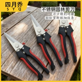 纸巾架;家用剪刀;厨用剪刀