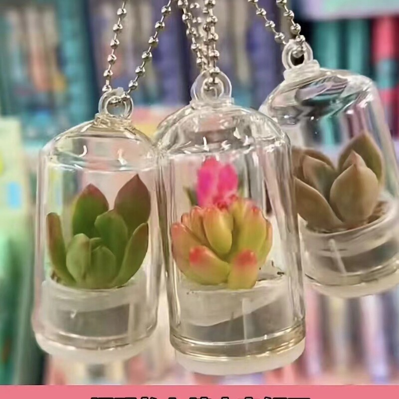 Live Plant Succulent Pendant Mini Micro Landscape Creative Portable Keychain Glass Bottle Small Potted Plant