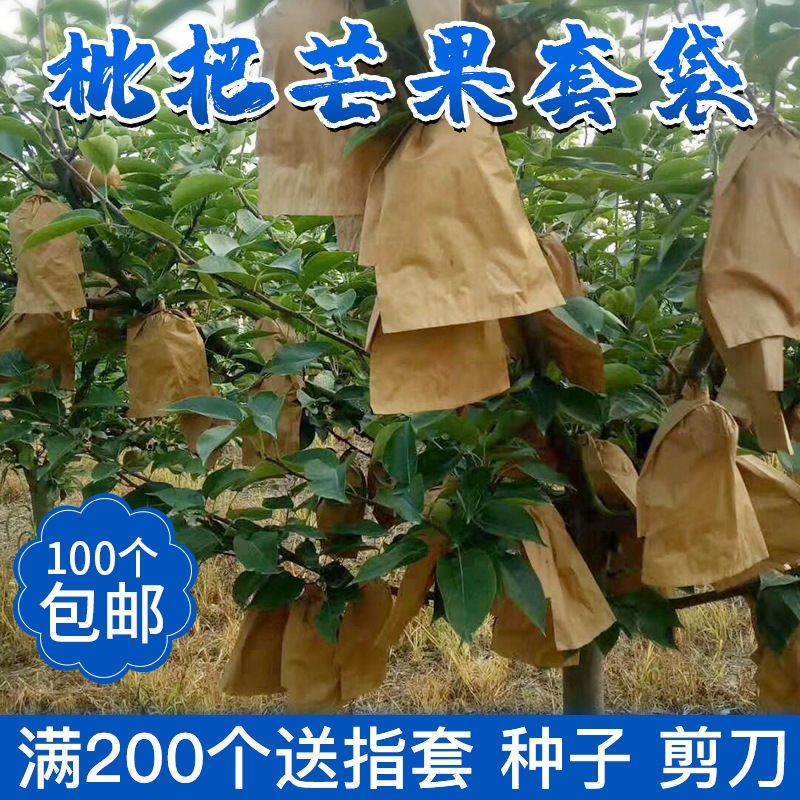 Bag Waterproof Cover Pear Rainproof Bag Sakyamuni Fruit Lotus Mist Bagging Protection Mango Insect-Proof Loquat Loquat