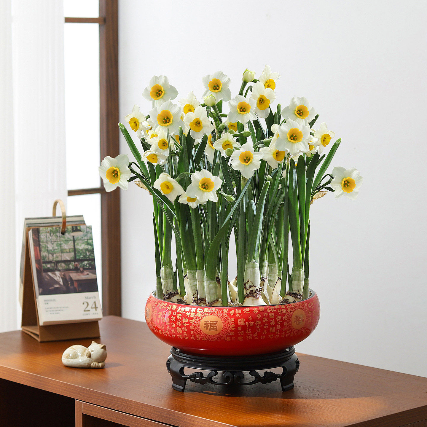 Narcissus - 6inch baifu basin - free pvc tray