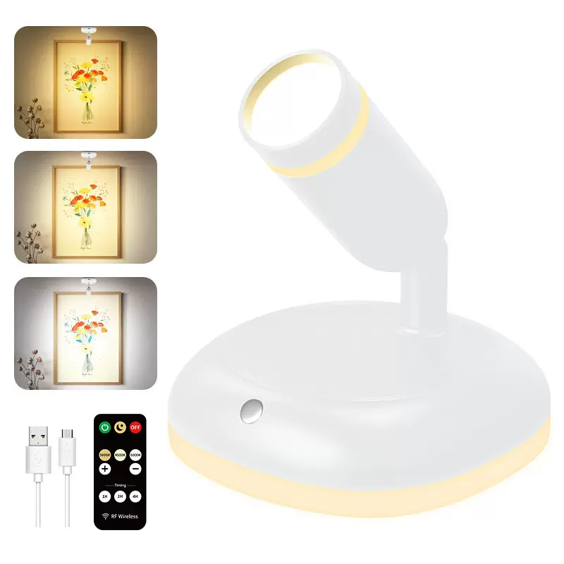 跨境无线遥控聚光灯小夜灯两用充电磁吸三色温植物装饰照画灯射灯