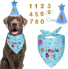 アマゾンのペットの誕生日おめでとうございます。