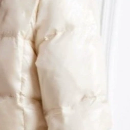 Короткий пуховик женский 2024 зимний новый высокий воротник новый китайский белый утка с вышивкой теплый короткий пиджак Bingyan