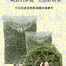 ӲݕĦݰếhwlጙmiĪɲ