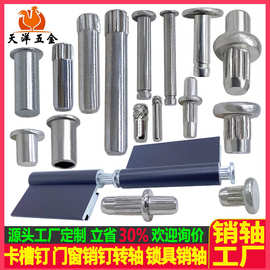 卡槽钉 锁具销钉 锁具销轴 门窗销钉转轴 十字搓花钉滚花钉滚花柱