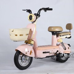 源工場クロスボーダー対外貿易元宇宙pro電動自転車メーカー成人代歩二輪電車卸売り
