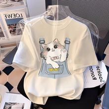 �ļ�С؈����t��Ů����2026�¿��OӋ��С���p�g�ٴ���������w��