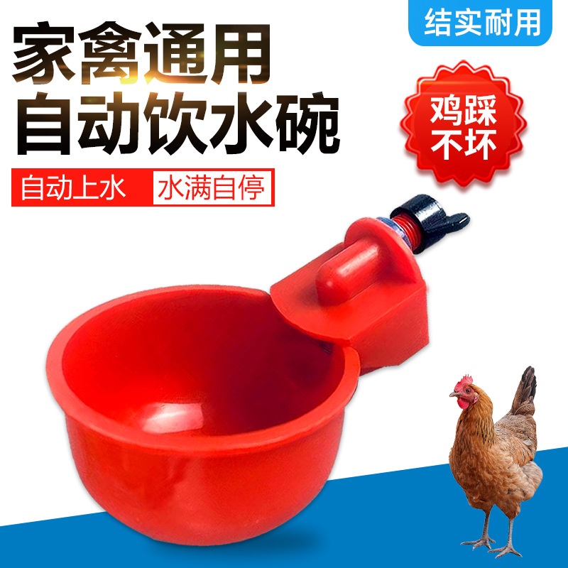 Bebedero automático para pollos, tazón de agua para aves de corral, tazón de agua para pollos, patos y gansos, tazón de agua para pollitos de codorniz, gran descuento en la cantidad de agua para alimentar a las aves