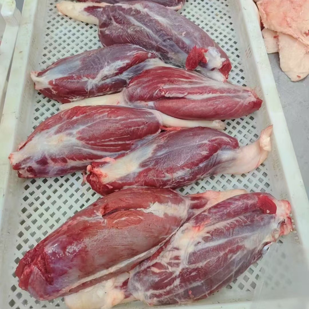 清真牛金钱腱子肉 新鲜原切牛腱子芯 正宗黄牛金钱腱卤煮火锅食材