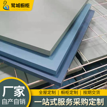 厂家供应不锈钢烤漆门钢质净化门 现代简约不锈钢烤漆门净化工程