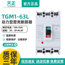 TENGEN���� TGM1-63L/33002 63A�ܚ���·��늄әC���o�_�P������