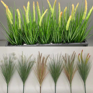 ���湷β�ͼٲݰ������Wins�L�Gֲ�쾰�҃ȼҾ��b廨�����[��