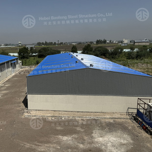 Source Manufacturers Supply to Build Steel Plant Design and Installation of Steel Structure Buildings Steel Structure Warehous
