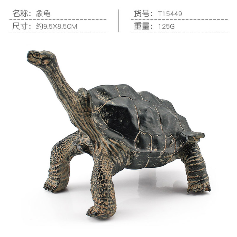 Transfronteriza Nueva simulación anfibio reptil modelo tierra tortuga elefante tortuga estrella tortuga estática decoración cognitiva decoración juguete