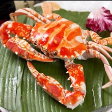 170�зҰ����������зԭֺз��зʯз���r�r�����r�������L��з