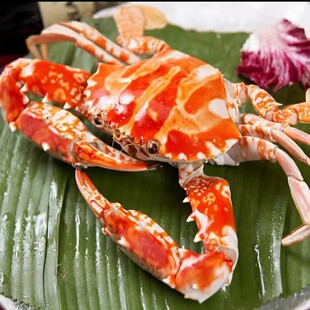 170�зҰ����������зԭֺз��зʯз���r�r�����r�������L��з