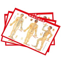 A5 紙人体標準経絡経穴マップ灸人体経絡マップ灸経穴参照マップスクレーピングカッピングマップ