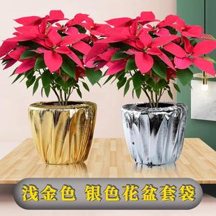 �\��ɫ�����״���۽��yɫ�껨�}�Q���Gֲ�����_�I���ղ���