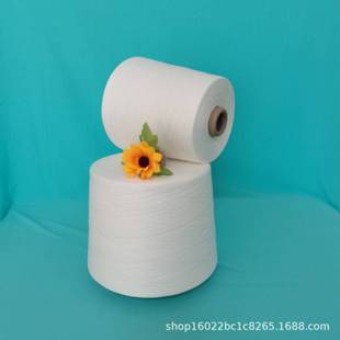 ��z�޷��޼�40֧ Ƥо�ͺϽz400D ���_��100D/72F Ҏ���Rȫ ��P