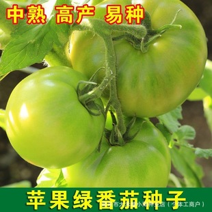 �O���G���ѷN���ѾGɫ���t���N���ļ�ˮ���߲˷N�̨����������
