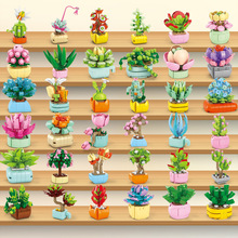 ͯƴbäзeľ[ŮϵƴDնY