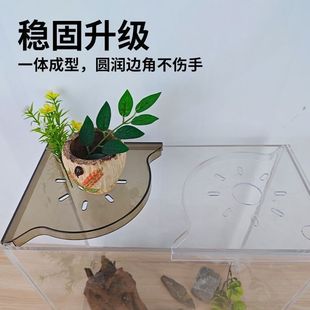 Fish Tank Corner Storage Rack Punch-free Storage Rack Fish Tank Top Landscape Bracket Hydroponic Green Plant Tray for Hair