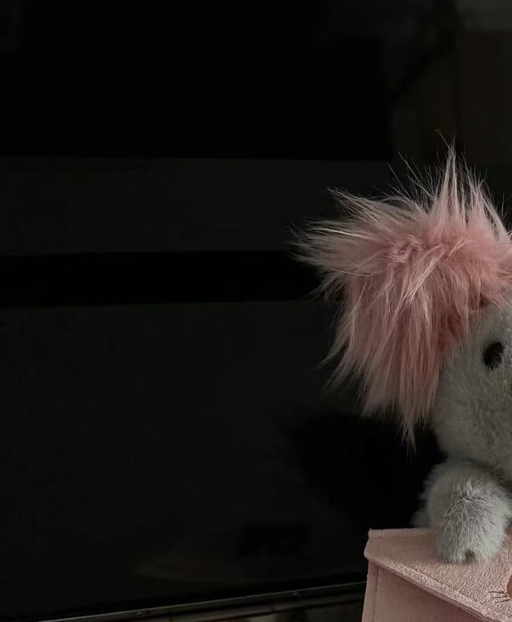 コレクション1;