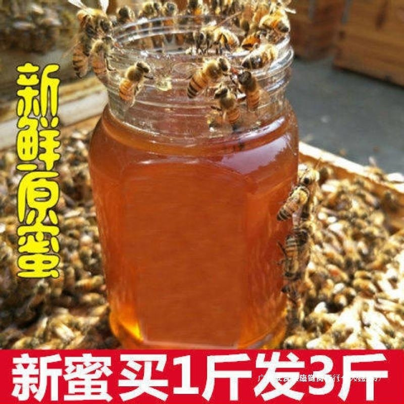 原始蜂蜜纯正天然农家自产山东老山洋槐蜂蜜百花蜜结晶土蜂蜜液体|undefined