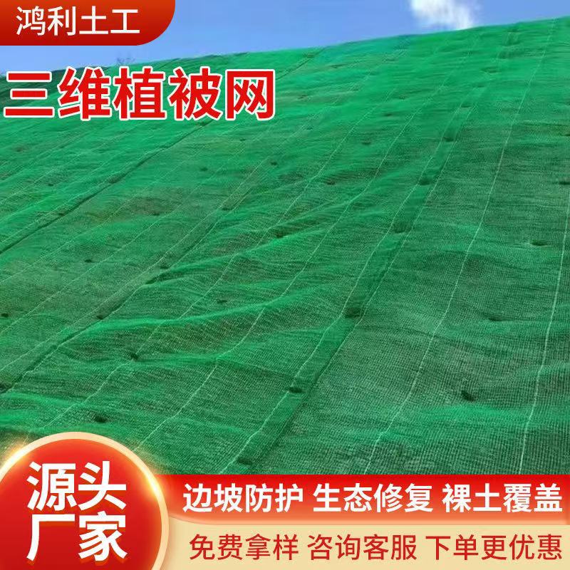 三维植被网绿化环保河道护坡三维网山体固EM3EM4土园林土工网垫