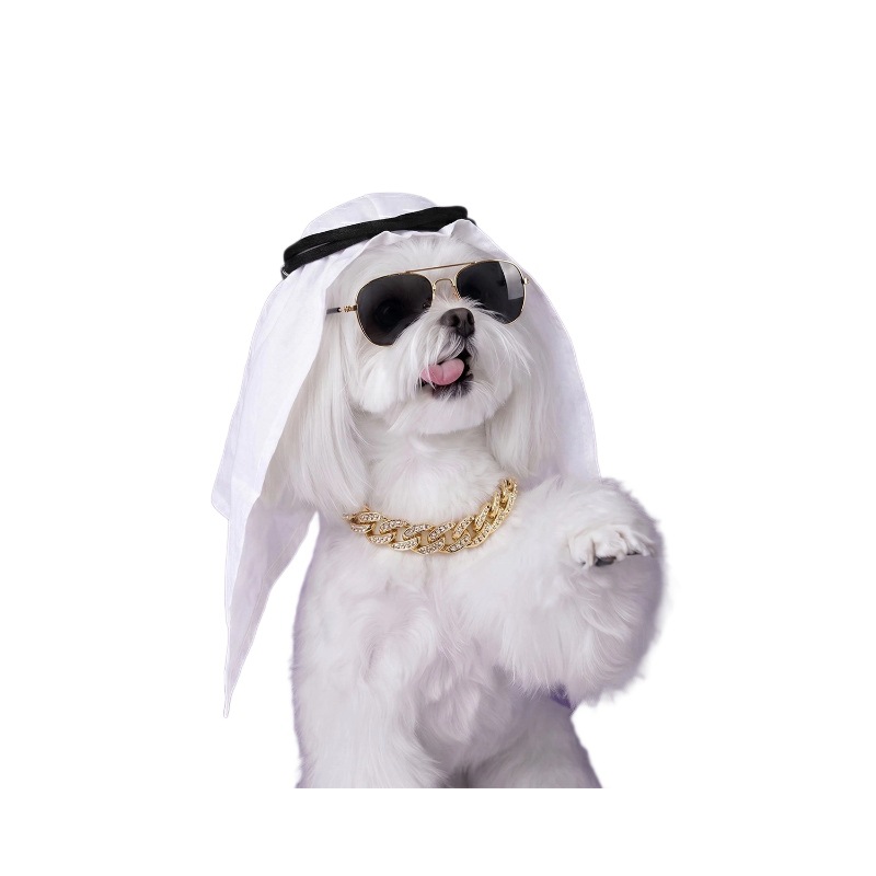 Fábrica de gran rango para mascotas árabe estilo de Oriente Medio conjunto de gorro collar gafas de sol tres piezas