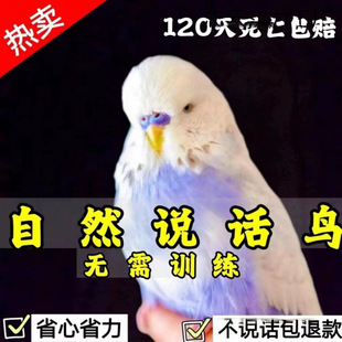 ���^��Ƥ�W�^������fԒ��С�B�������^�p�B���P�W�^�^�pĵ�����B