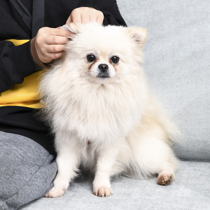 Toallitas para ojos de mascotas, toallitas desechables para perros y perros, limpieza para oídos, toallas para oídos