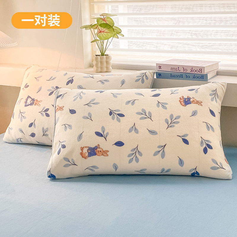 Funda de almohada de terciopelo de leche de invierno, un par de fundas de almohada de terciopelo de coral grueso, una sola funda de revestimiento de núcleo de almohada para niños 48x74 2
