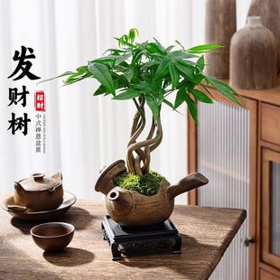 �帣�lؔ�����Ըߙnֲ��͏d�Ҿ��k���ҾGֲ���k�������辰