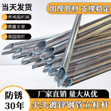 围栏立柱杆镀锌空心钢管圆管立柱围栏网菜园支撑杆铁柱子地桩篱笆